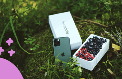 sustainability image