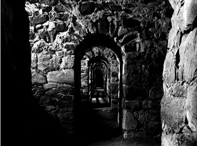 *Shot on iPhone 11 Pro, iPhone 12 Pro, iPhone 13 Pro Max, iPhone 14 Pro, & iPhone 15