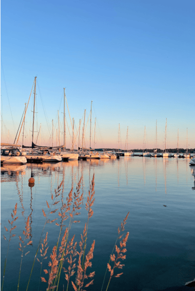 *Shot on iPhone 11 Pro, iPhone 12 Pro, iPhone 13 Pro Max, iPhone 14 Pro, & iPhone 15