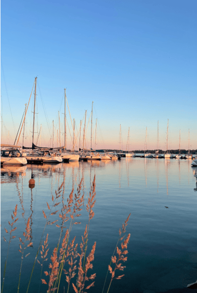 *Shot on iPhone 11 Pro, iPhone 12 Pro, iPhone 13 Pro Max, iPhone 14 Pro, & iPhone 15