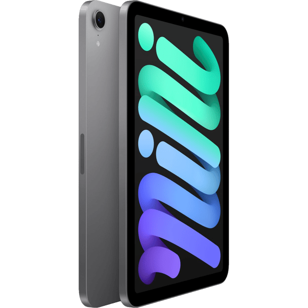 iPad mini 6 2021 8.3 64GB Space Gray - Back image