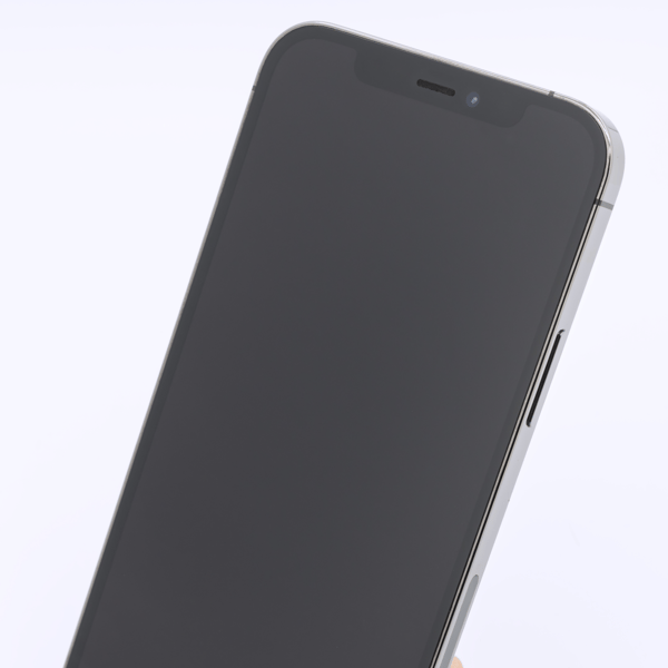 Premium condition, screen view — the display and its surround of a typical phone at this grade