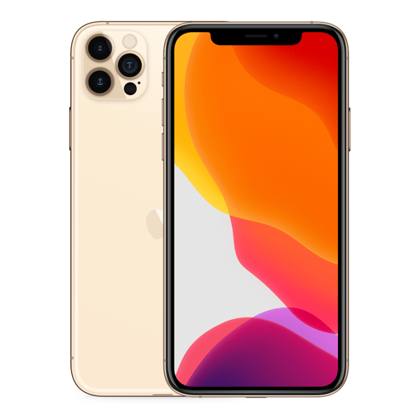 iPhone 12 Pro 256GB Gold -Fronte e retro